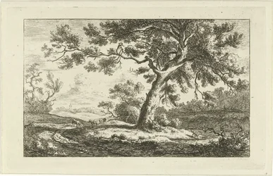 hvilende hyrde Landskaber (a-f) (serietitel)