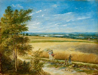 Donau med den gamle Reichsbrücke