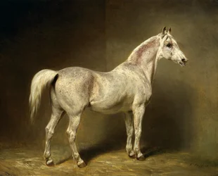 «Beatrice», Helmuth Graf von Moltkes hvide arabiske ridehest, 1855