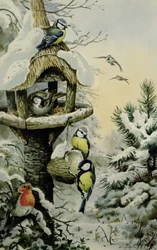 Vinterfuglebord med blåmejser, stormejser, gråspurve og en Robin
