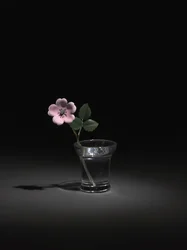 Wild Rose, late 1800s-early 1900s dani