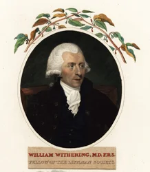 Portræt af William Withering, læge og botaniker