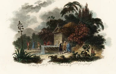 William Withering på Caldas da Rainha