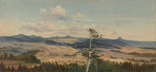 Eifel landskab