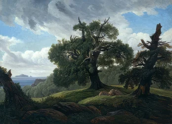 Egetræer ved havet. 1835