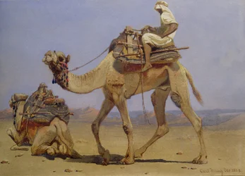 Kamel, der forbereder sig på at lægge sig ned, 1858