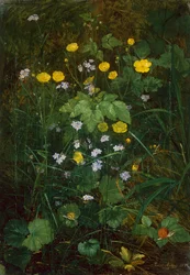 Smørblomster og Forglemmigej på en Skovbund