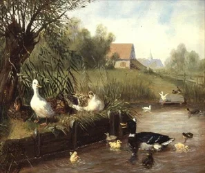 Ænder på flodbredden