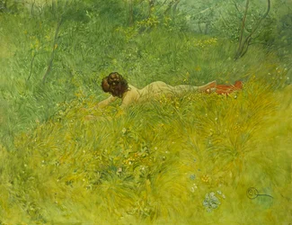 På græsset, 1902