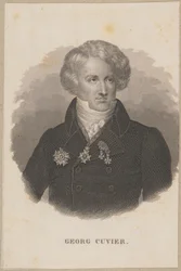 Georges Cuvier (1769 Montbéliard - 1832 Paris) - fransk zoolog, grundlægger af palæontologien