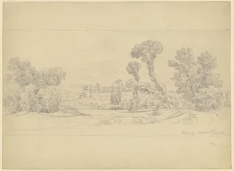 Træstudie fra Villeneuve-området nær Avignon