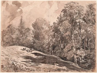 En eng med en hyrde og geder i udkanten af en skov