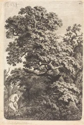 Satyr og nymfe i en sump