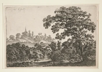 Landskab med Mølle