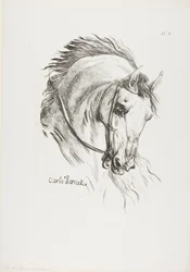 Detalje af hestehoved, forstørret til tredobbelt størrelse, husar, Den Kongelige Livgarde, nr. 6