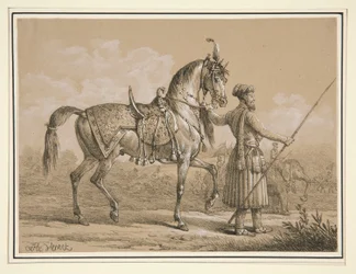 Mameluke og Araberhest