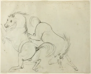 To heste, der kaster sig (recto); Mand på en sparkende hest (verso)