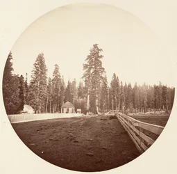 Sentinelerne. C. Grove, ca. 1878.