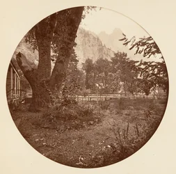 [Yosemite Nationalpark, Californien], ca. 1878.