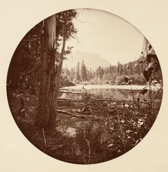 [Yosemite Nationalpark, Californien], ca. 1878.