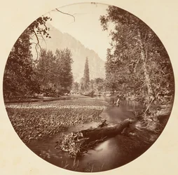 [Yosemite National Park, Californien], ca. 1878.