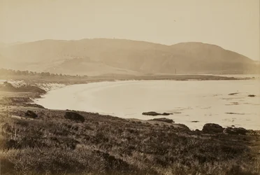 [Kystudsigt, Monterey]
