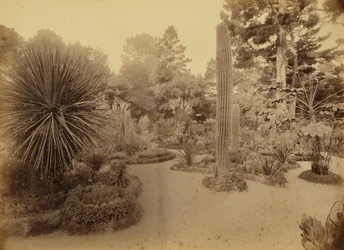 [Monterey, Californien. Arizona Garden, Hotel Del Monte].