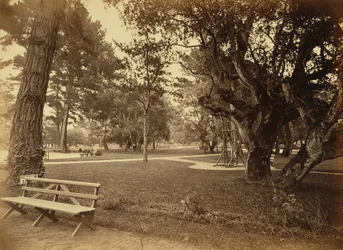 [Monterey, Californien. Hotel Del Monte, Lawn View].