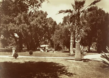 [Thurlow Lodge - Telt- og familiegruppe].