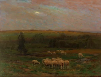 Aften efter et brusebad