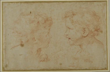 Studier af hovedet og venstre hånd af en putto (rødt kridt på papir)