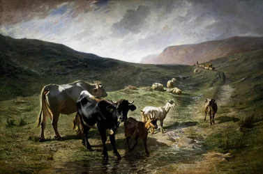 I nærheden af ​​Rivara