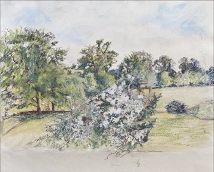 august fra vores vindue, 2007 (pastel & wc på papir)