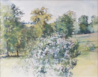 juni fra vores vindue, 2007 (pastel & wc på papir)
