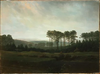 Eftermiddagen