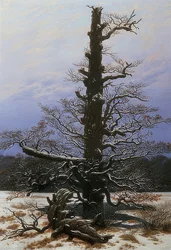 Egetræ i sneen. 1829