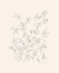 Studie af botaniske blomster