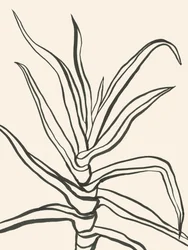 Minimalistisk planteoversigt