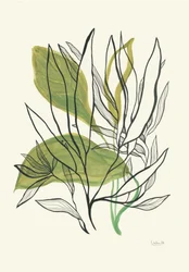 Moderne botaniske blade