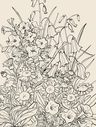 Vilde haveblomster