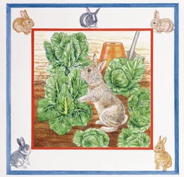 A Rabbit in the Cabbage Patch (wc på papir)