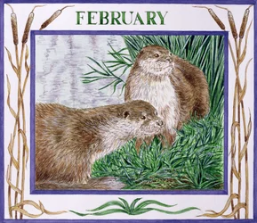 februar (wc på papir)