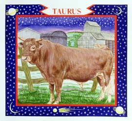 Taurus (wc på papir)