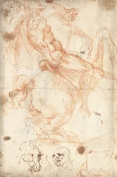 Rytterstudie