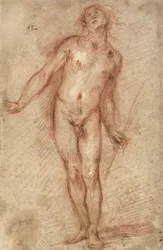 Stående mandlig nøgenmodel, 1637-38