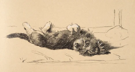 Rough Daschund Puppy Detail, 1930, Illustrationer fra hans skitsebog brugt til Just Among Friends, Aldin, Cecil Charles Windsor (1870-1935), senere udgivet af Eyre og Spottiswoode Limited, 1934, Cha
