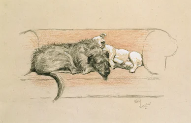Ulvehund og bullterrier sovende på en sofa (pastel på papir)
