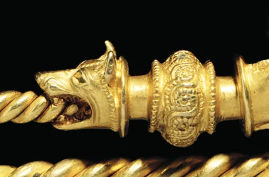 Highly important La Tene warrior fibula, details