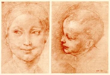 Hovedstudier