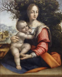 Madonna og barn (Vor Frue af træet)
